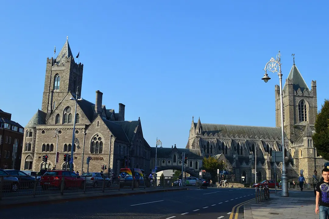 Dublinia