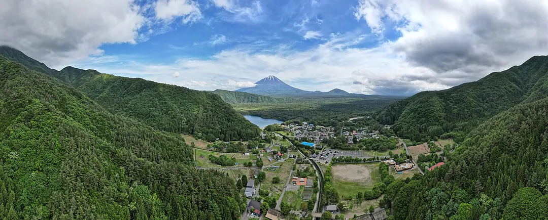 Aokigahara