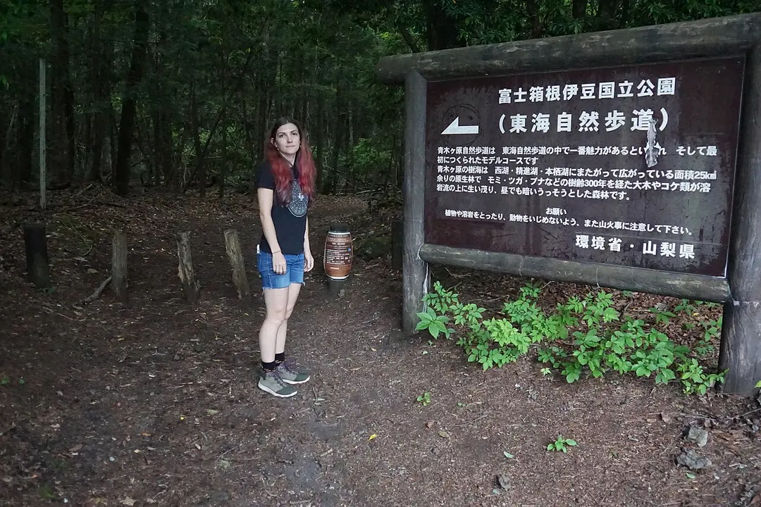 Aokigahara