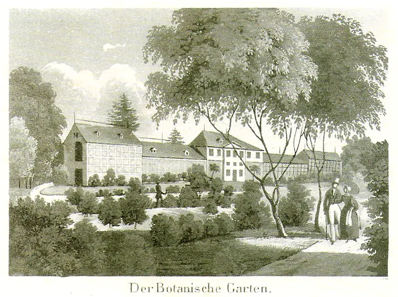 Alter Botanischer Garten