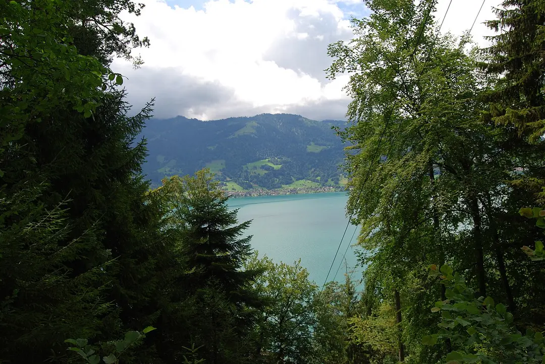 Leissigen