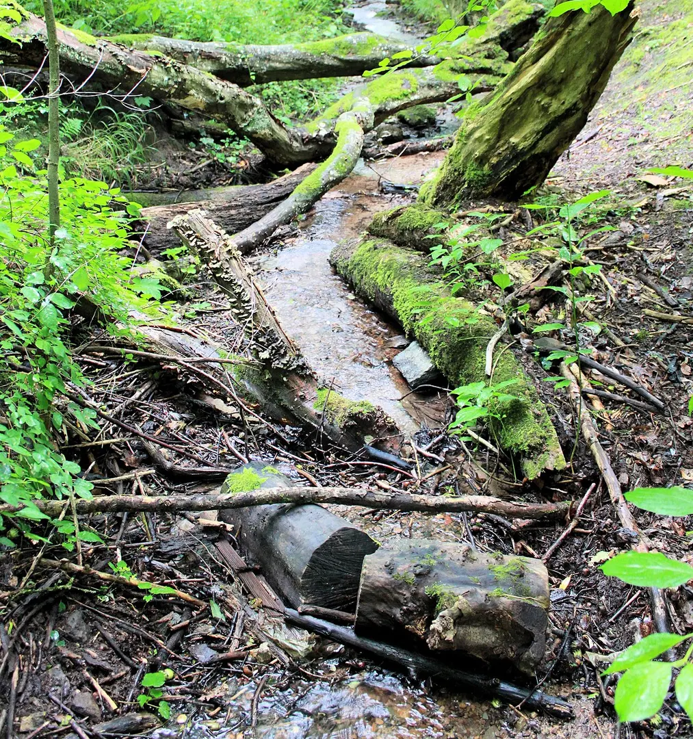 Buberlesbach
