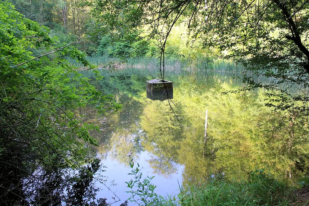 Buberlesbach