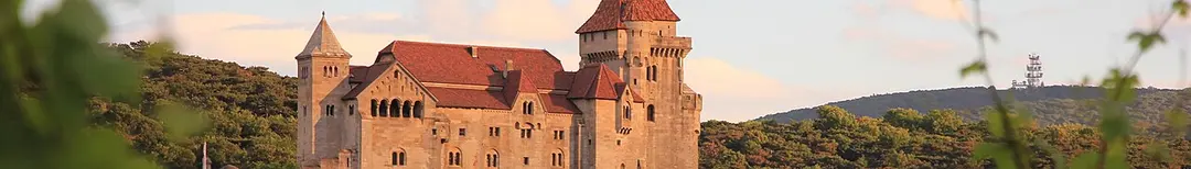 Liechtenstein Castle