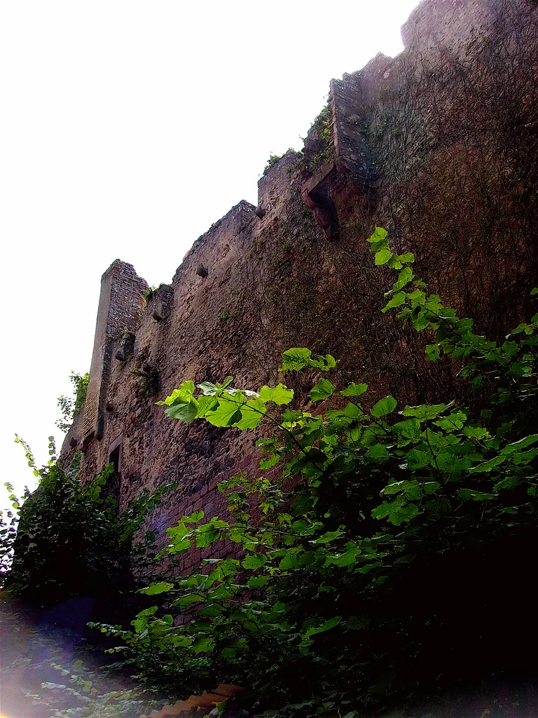 Château de Kintzheim