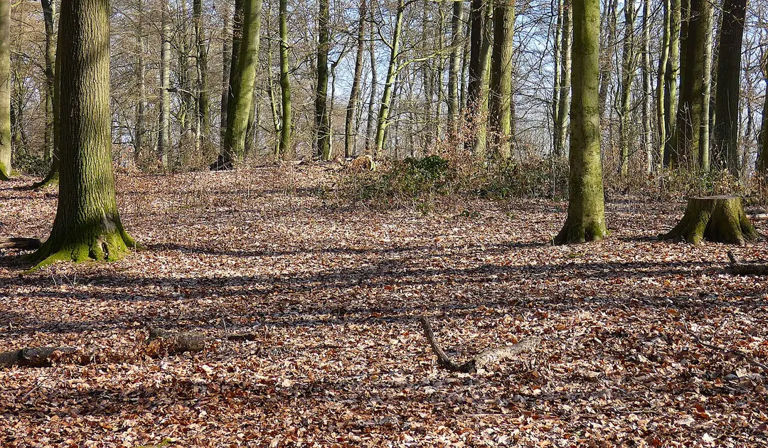 Benther Berg