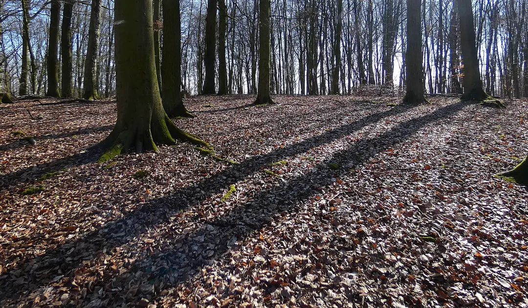 Benther Berg