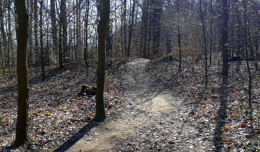 Benther Berg