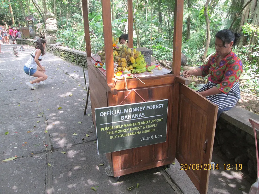Affenwald von Ubud