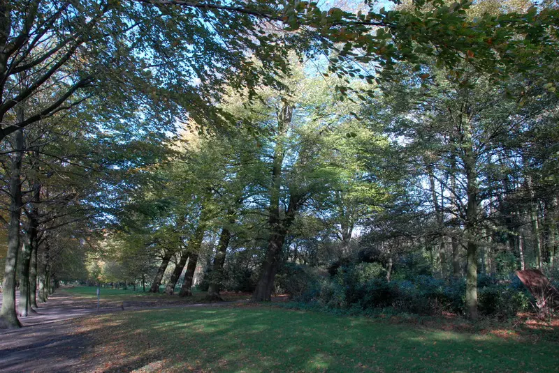 Landgoed Clingendael