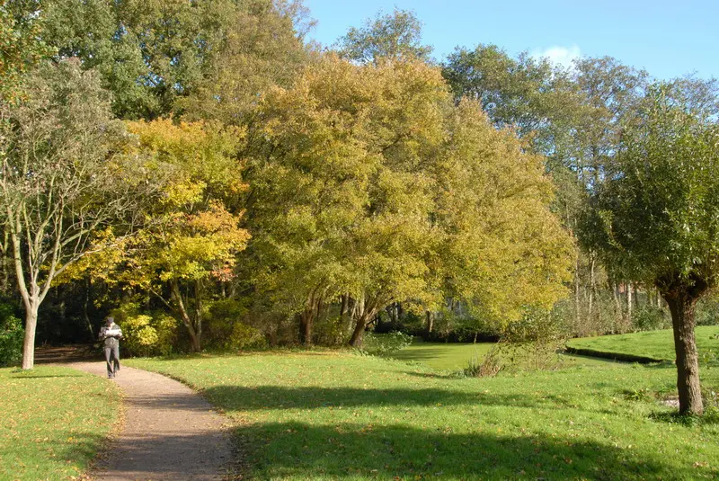 Landgoed Clingendael