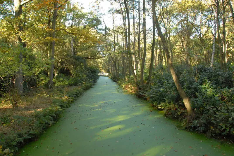 Landgoed Clingendael