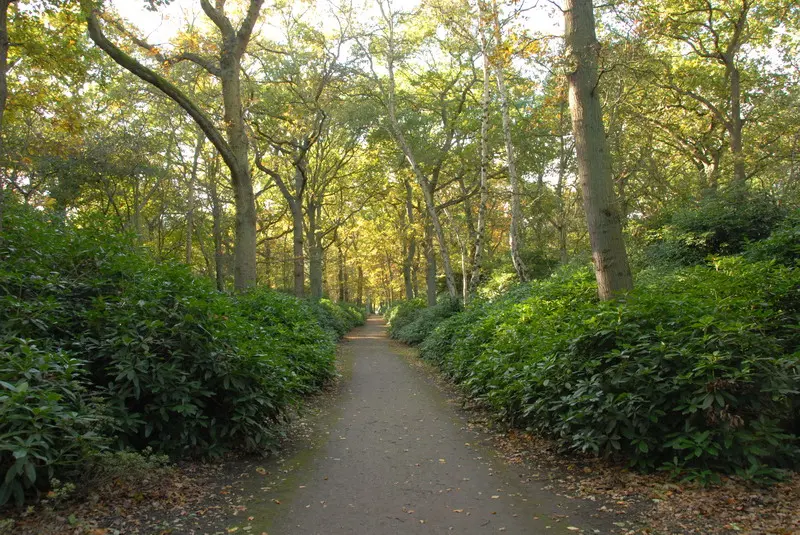 Landgoed Clingendael