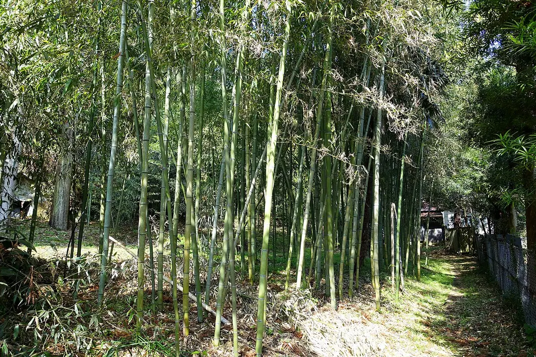 Jufuku-ji