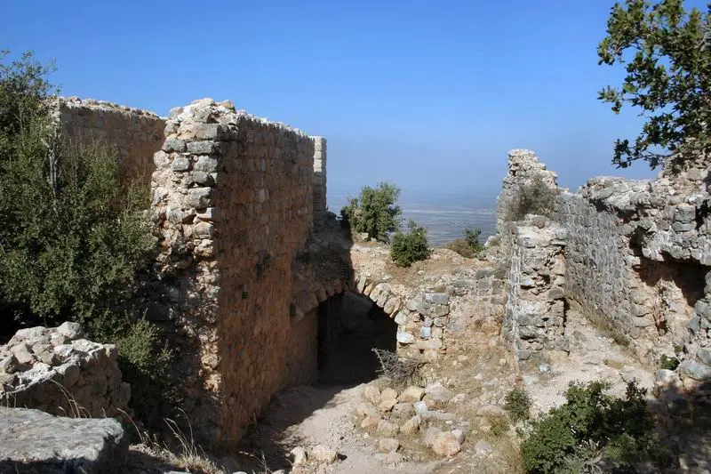 Abu Qobeis
