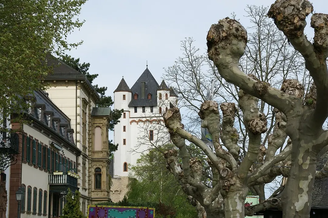 Burg Eltville