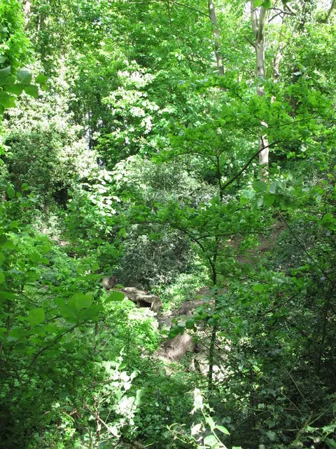 Ongar Castle