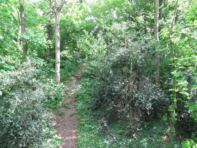 Ongar Castle