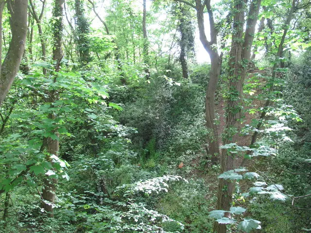 Ongar Castle