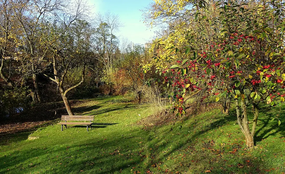 Botanischer Garten