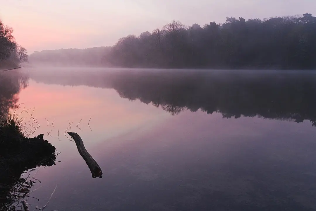Krumme Lanke