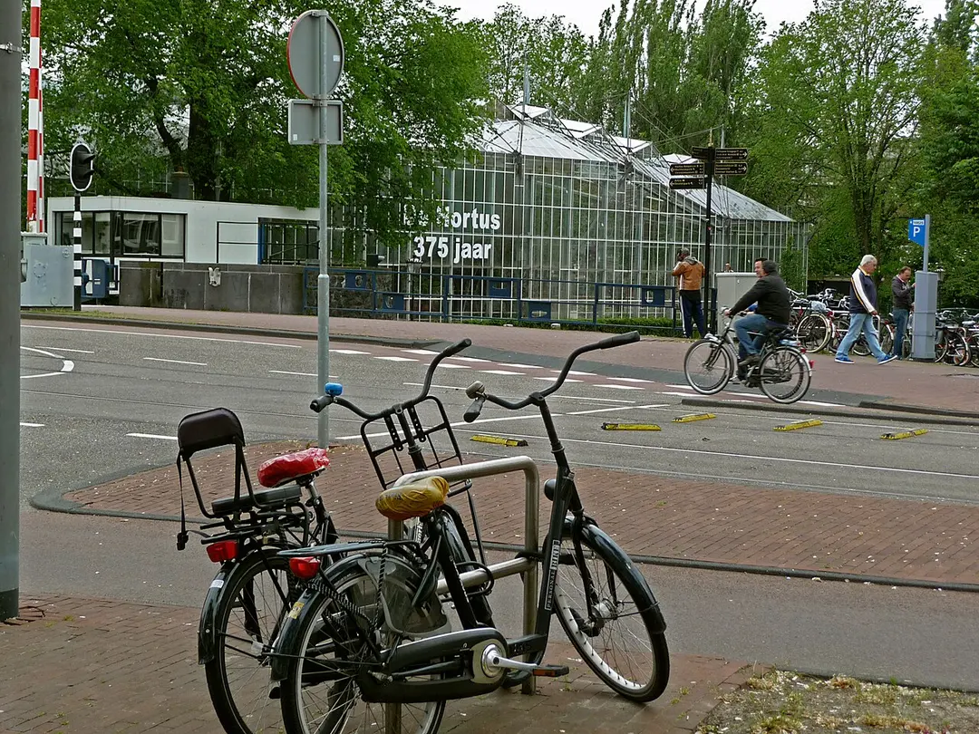 Hortus Botanicus Amsterdam