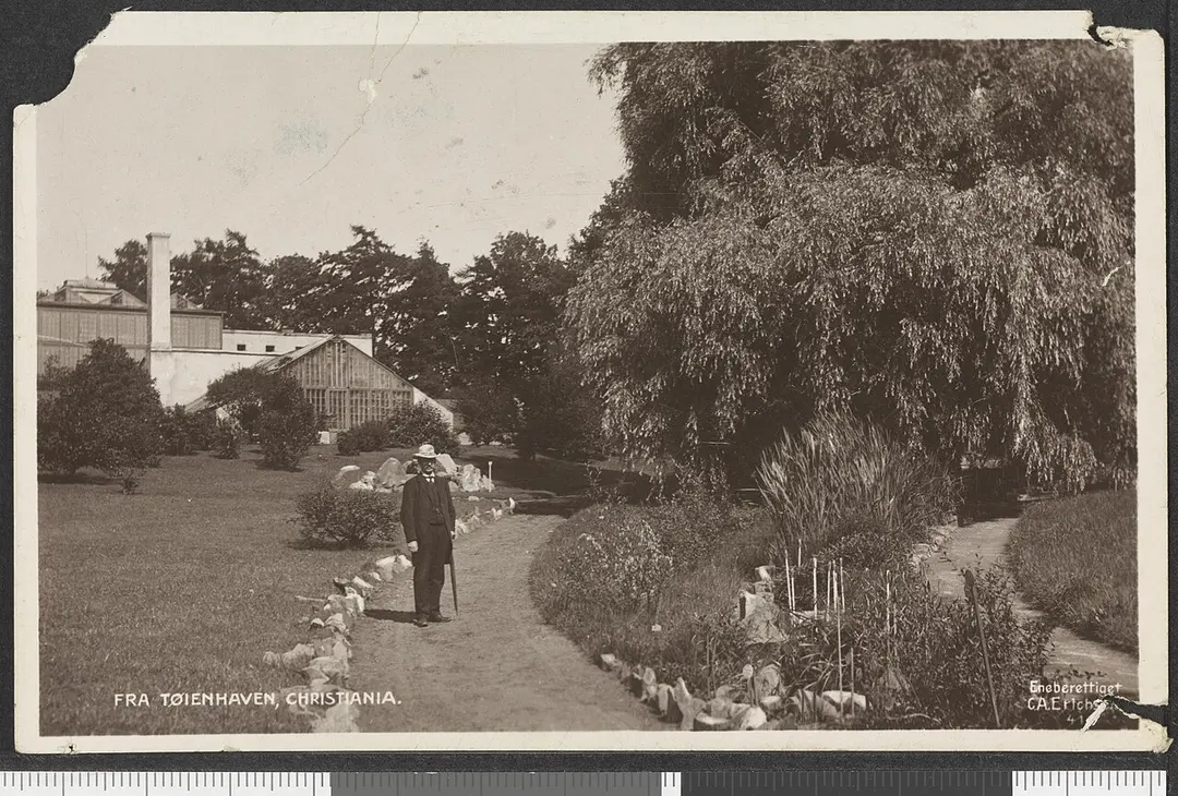 Botanisk hage