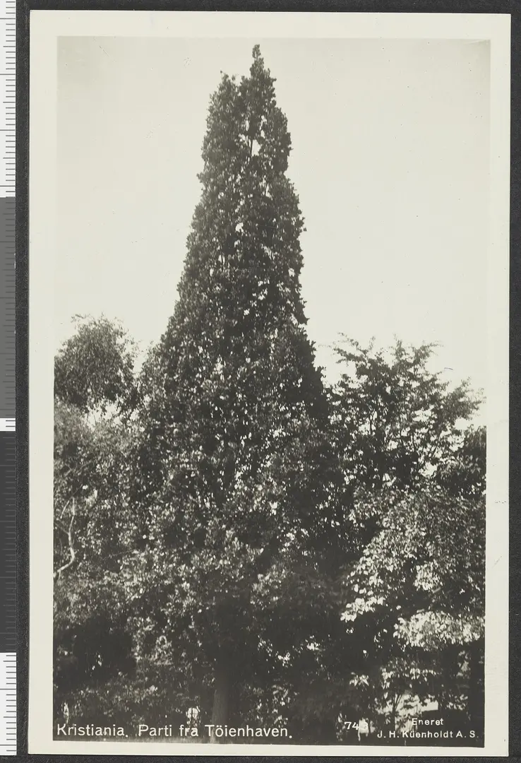 Botanisk hage