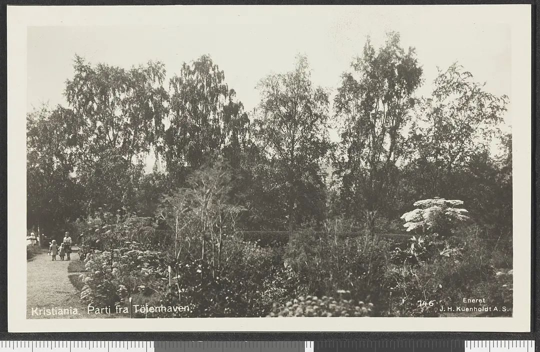 Botanisk hage