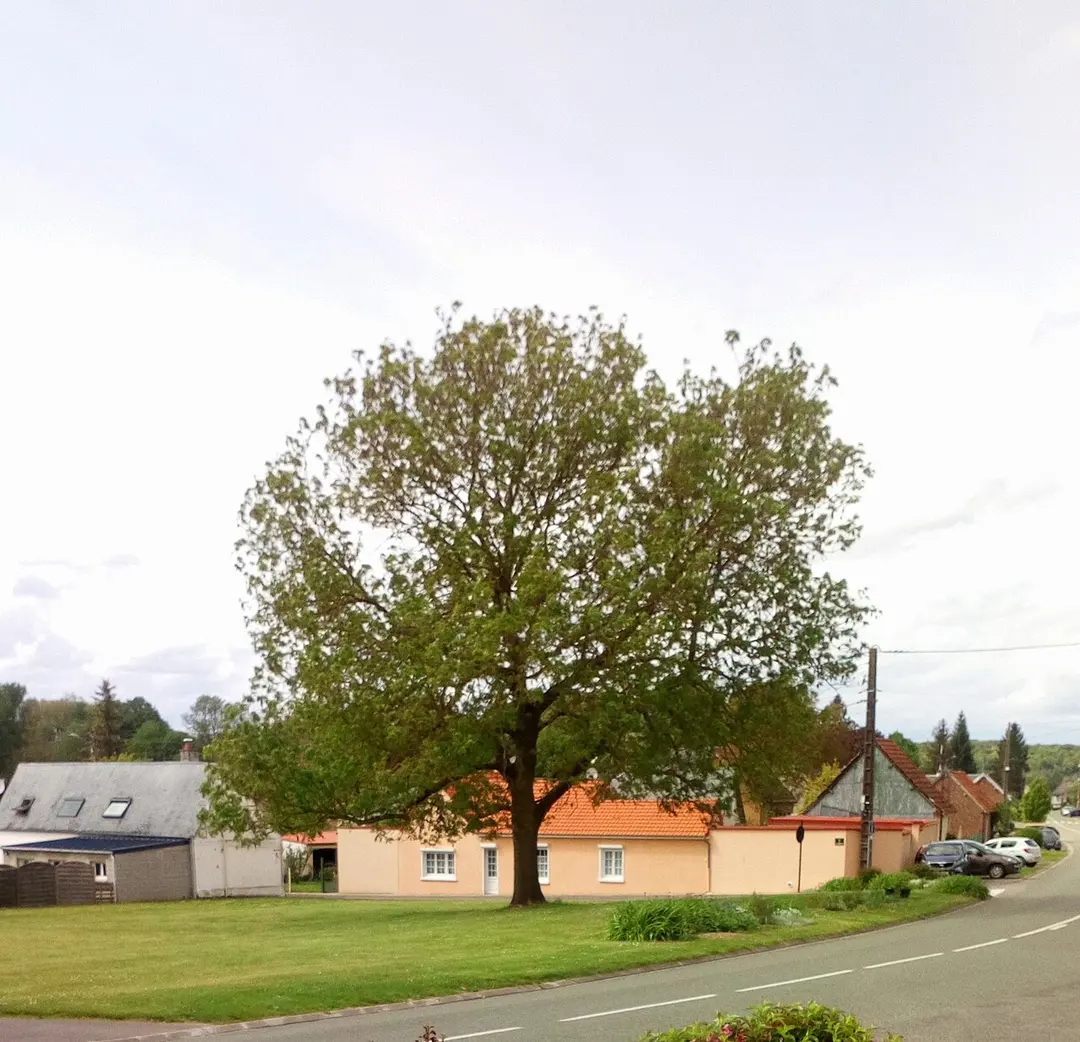 Belvédère du Camp de César de Chipilly