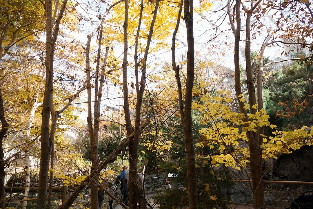 Biodôme de Montréal