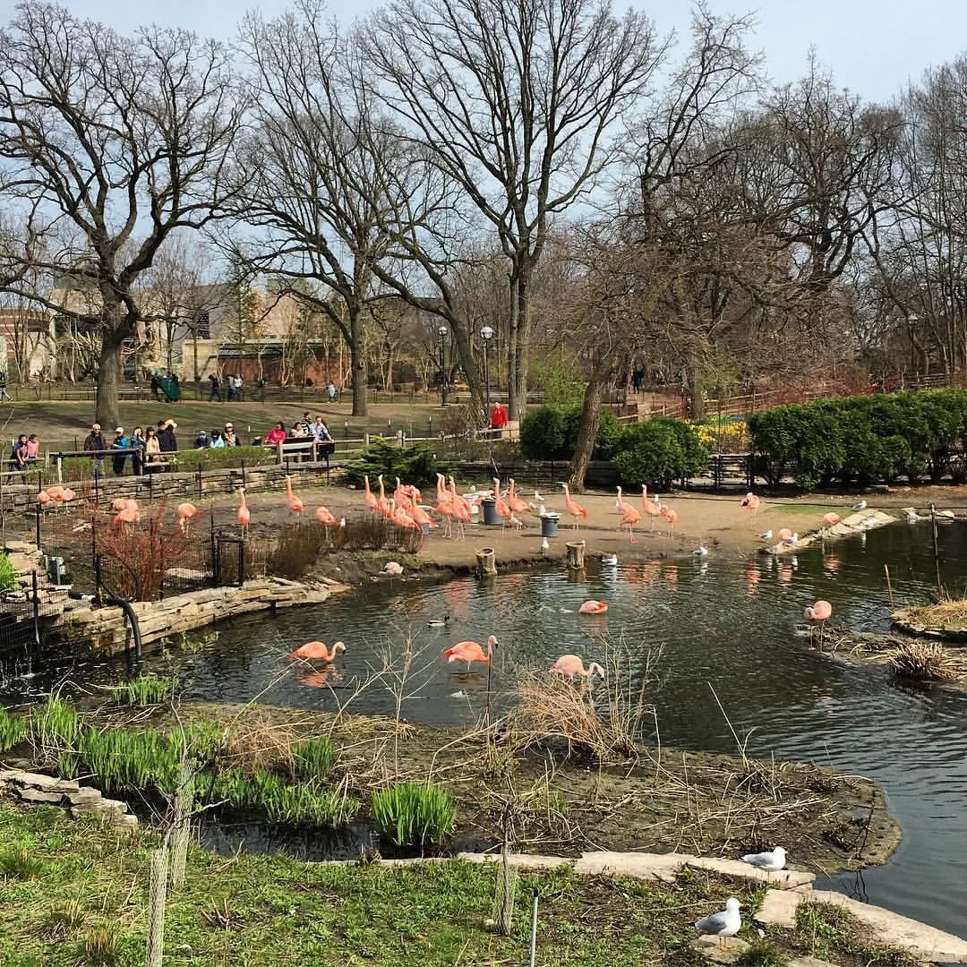 Lincoln Park Zoo Chicago