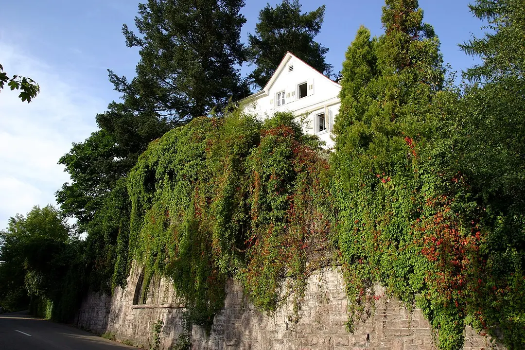 Brahms-Haus