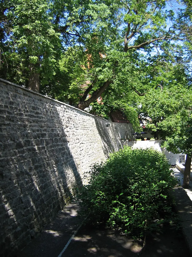 Danish King Garden