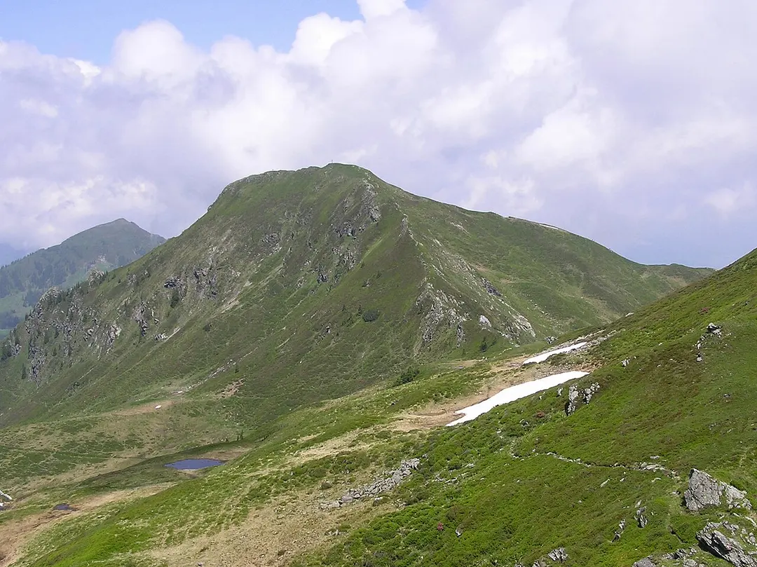 Brechhorn