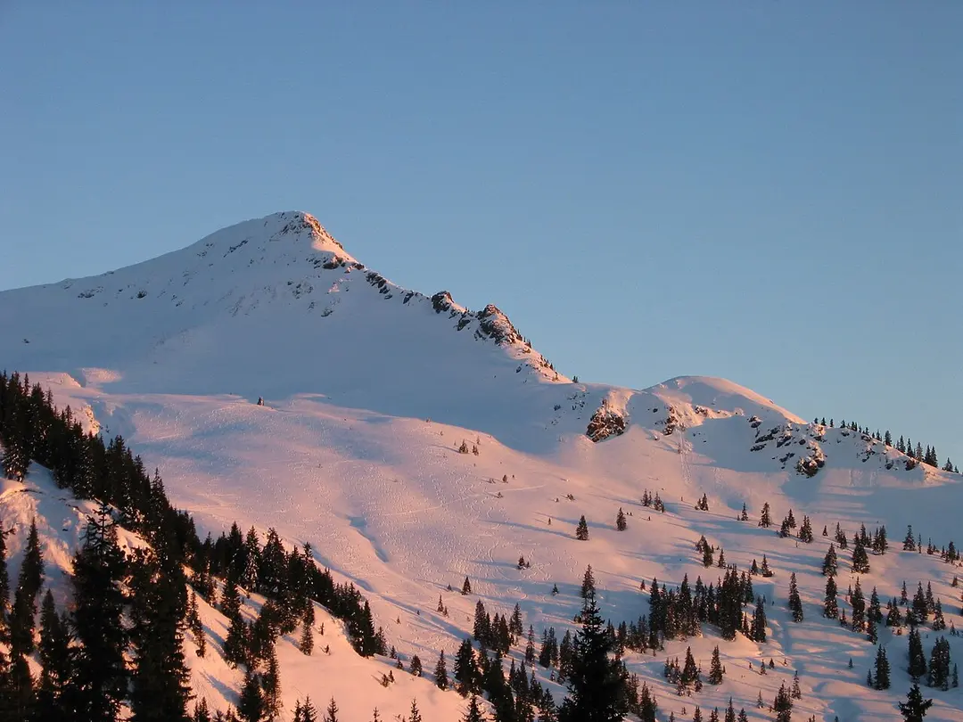 Brechhorn