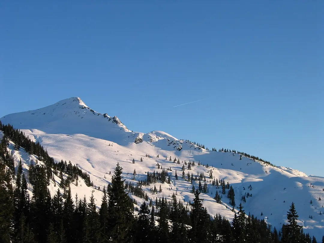Brechhorn