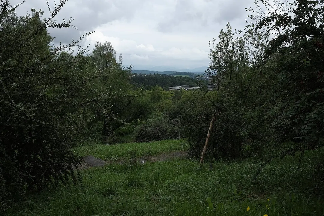 Botanischer Garten