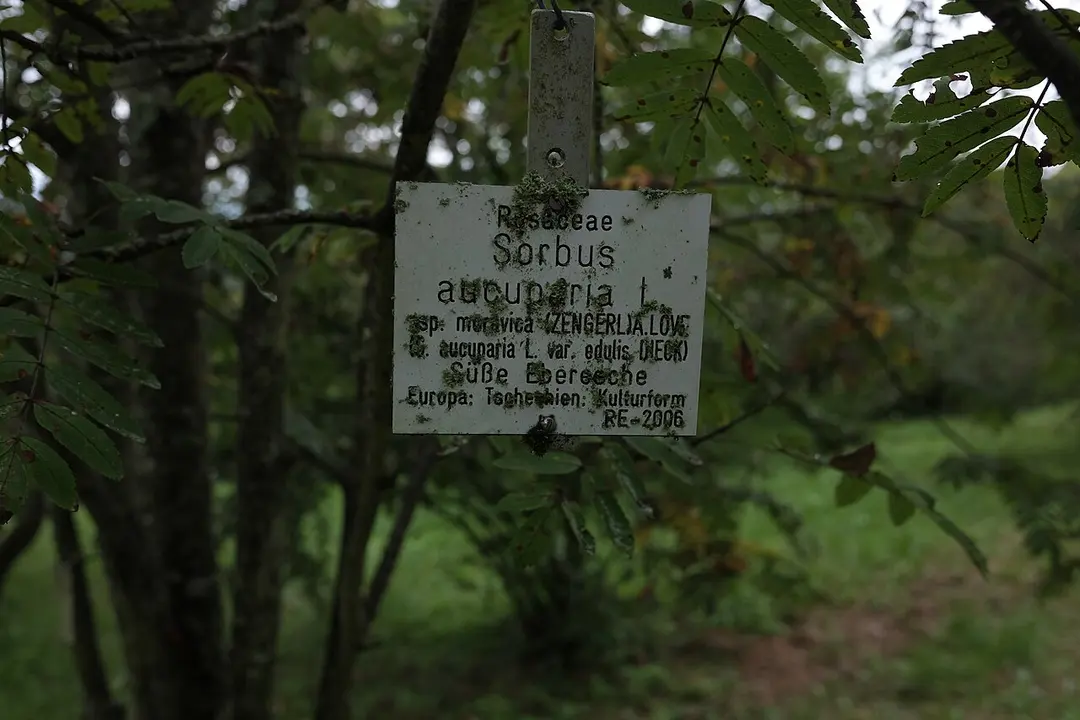 Botanischer Garten