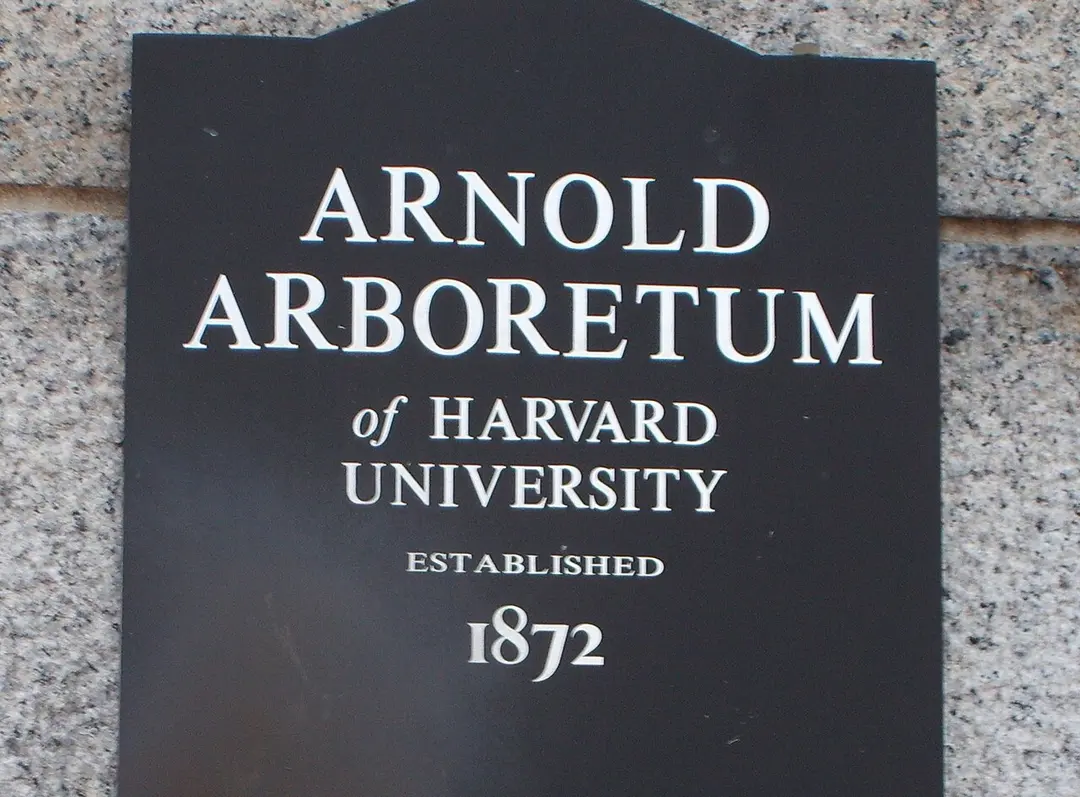 Arnold Arboretum