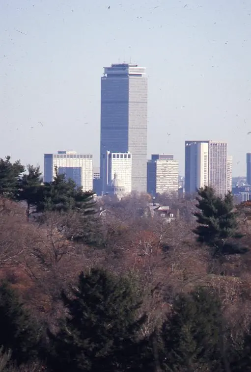 Arnold Arboretum