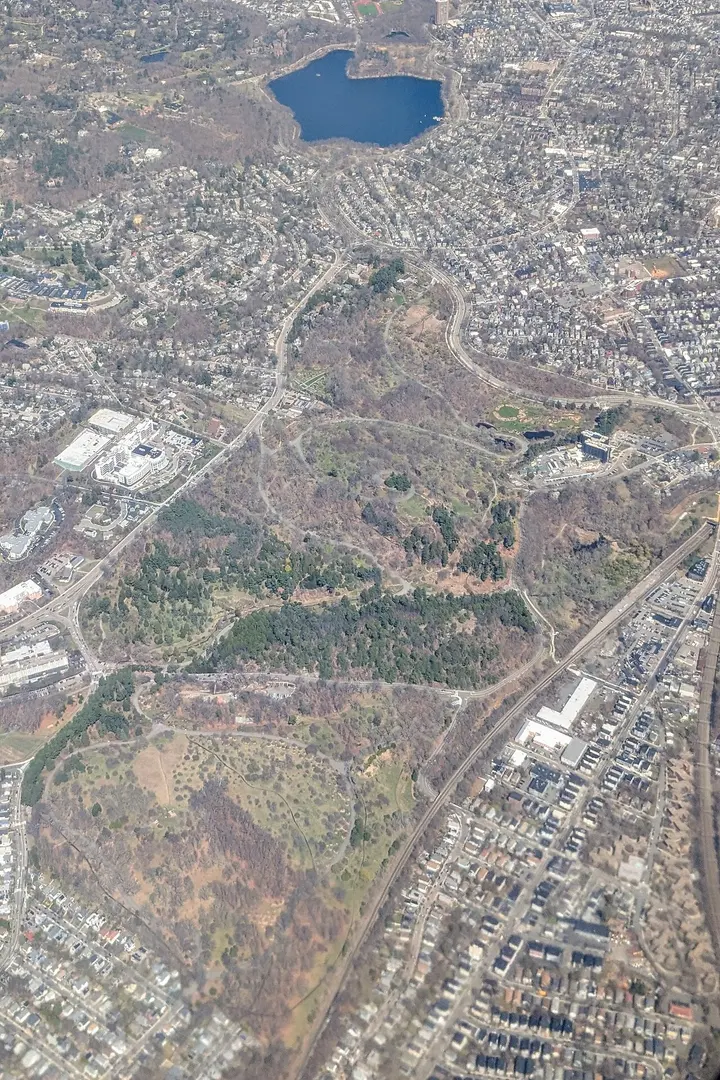 Arnold Arboretum