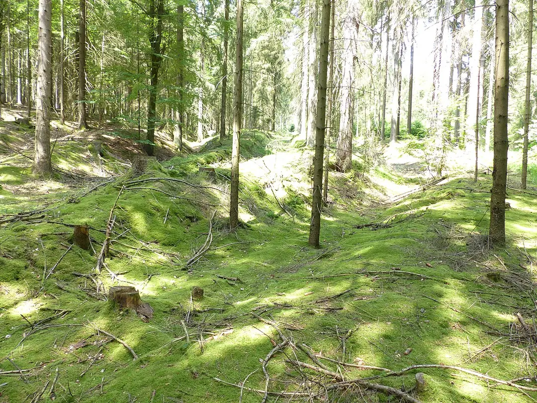 Weißenstein