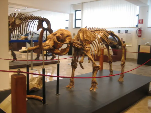 Museo Geologico Gemmellaro
