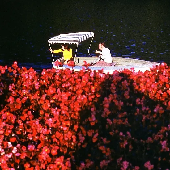 Carol-Park