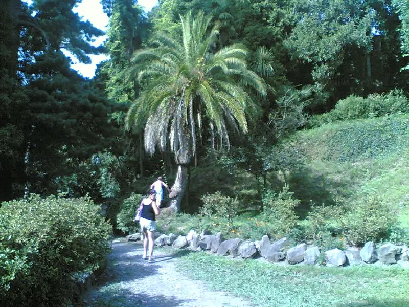 Botanischer Garten Batumi
