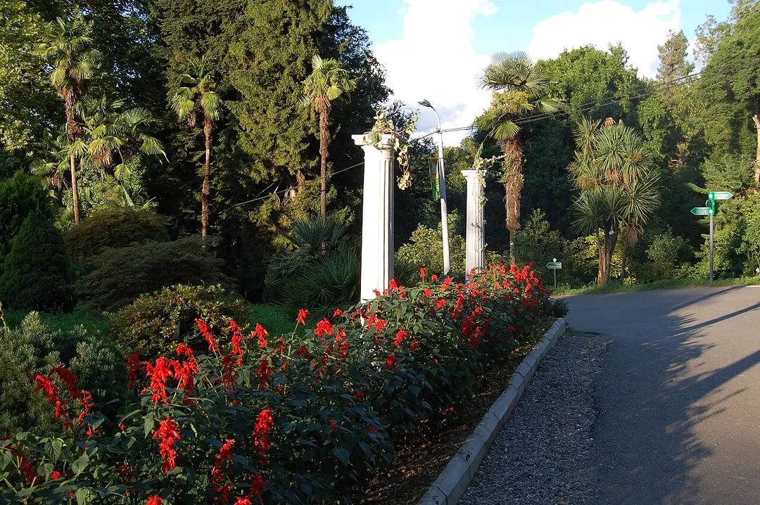 Botanischer Garten Batumi