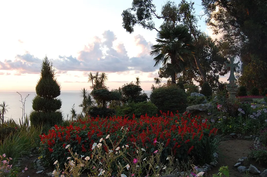 Botanischer Garten Batumi