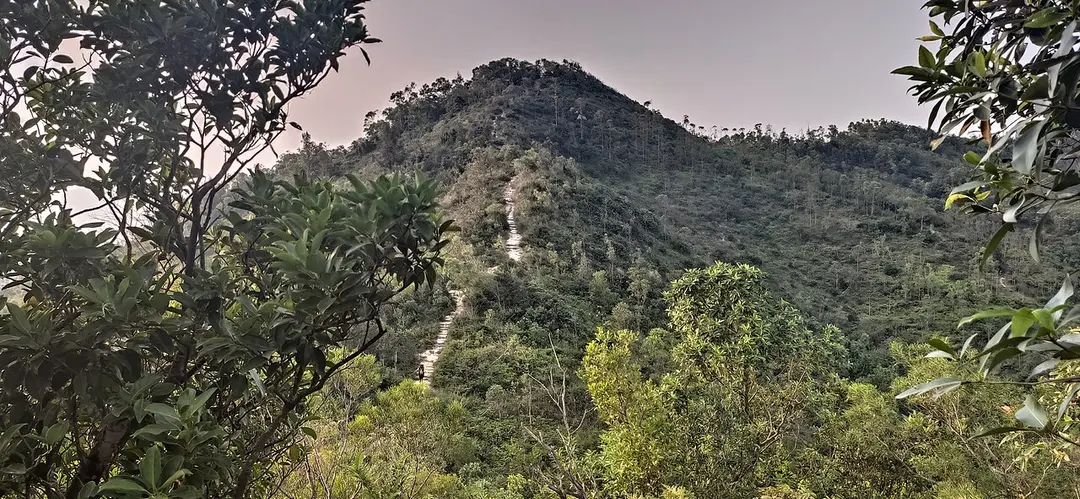 五桂山 Black Hill