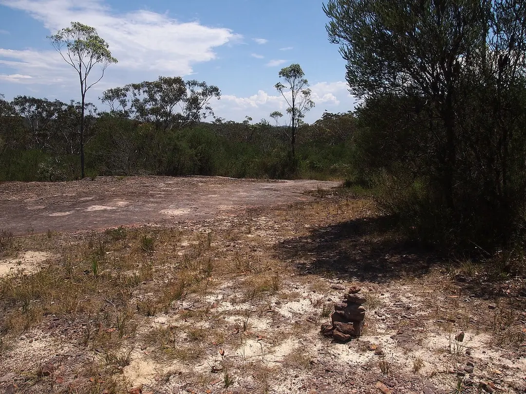 Brisbane Water National Park